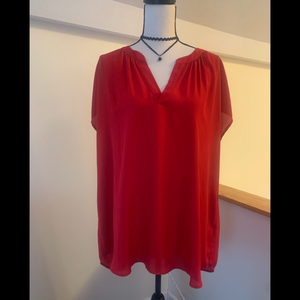 Beautiful Sheer top !!!